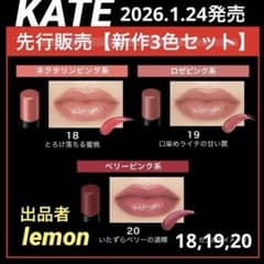 新作3色セット】18,19,20リップモンスター KATE 先行発売 新色 - メルカリ