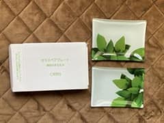 ORBIS ガラスペアプレート☆植物のある生活☆非売品のサムネイル