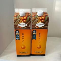 豊潤サジー 1000ml 2本セット - メルカリ