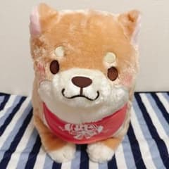 忠犬 もちしば ででーんと超BIGさくら うえまち団子