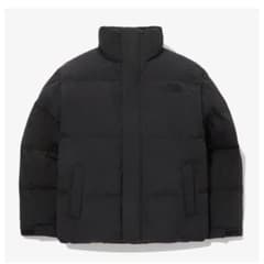 THE NORTH FACE ダウンジャケットのサムネイル