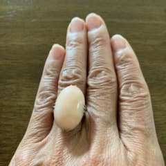 大ぶりな珊瑚のアンティークリングのサムネイル