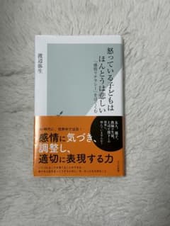 怒っている子どもはほんとうは悲しい 渡辺弥生のサムネイル