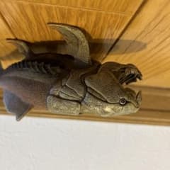 シュライヒ　ダンクルオステウスのサムネイル