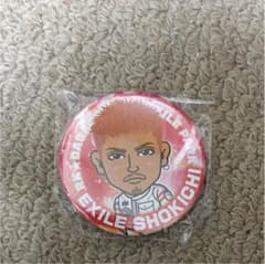 SHOKICHI マグネットのサムネイル