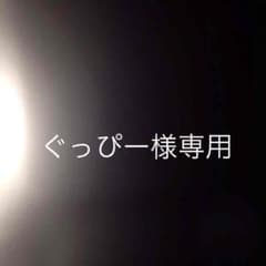 ぐっぴー様専用のサムネイル