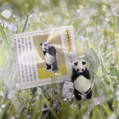 【未開封】今日は何キロ？　ガチャ　タニタ　パンダ　体重計のサムネイル