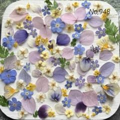 No,948 特小小花ミックス ドライフラワー花材 - メルカリ