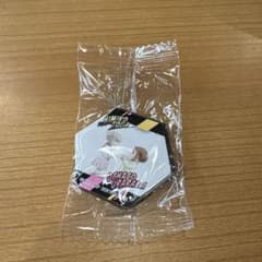 [신품 미사용] [깜짝 폰] 내 영웅 아카데미아 자석 시트 ⑨