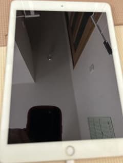 iPad Air2のサムネイル