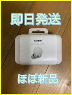 SONY WF-1000XM5のサムネイル