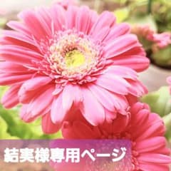 結実様専用ページのサムネイル