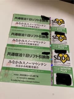 共通1日リフト引換券 ３枚 みなかみスノーマウンテンのサムネイル