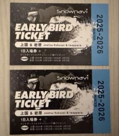 上越国際スキー場 岩原スキー場 リフト券 1日入場券+引換券 早割券2枚