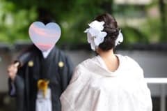 胡蝶蘭　髪飾りのサムネイル