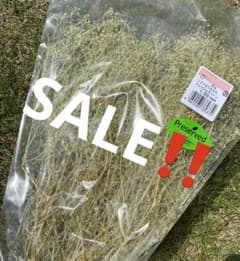 ちちか様専用のサムネイル