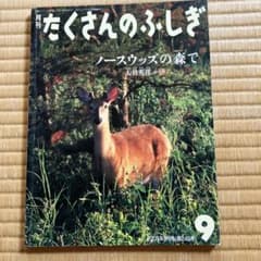 たくさんのふしぎ 9月号 2005年 ノースウッズの森でのサムネイル