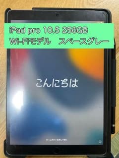 APPLE iPad pro 10.5 WI-FI 256G GRのサムネイル