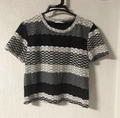 ZARAモザイクボーダー＊Tシャツのサムネイル