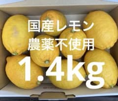 完熟 国産レモン 1.4kg 農薬不使用のサムネイル