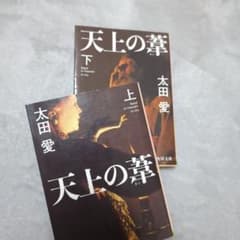 天上の葦　上・下のサムネイル