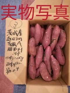 ③ 紅はるか（茨城）実写真のサムネイル