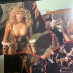 野獣女戦士アマゾネスクイーン 金髪美女 - メルカリ