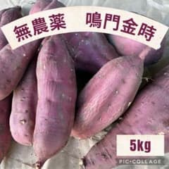 無農薬さつまいも　なると金時　家庭菜園　5kgのサムネイル