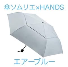 傘ソムリエ ハンズ 風が抜ける傘 エアーブルー 日傘 サンシールド