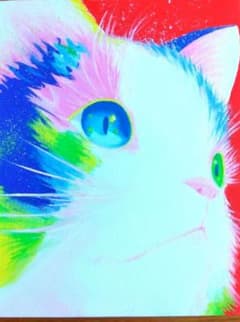 カラフルな猫のポップアートキャンバス - メルカリ