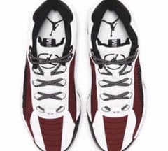激レア NIKE 29.5㎝JORDAN JUMPMAN ユニバーシティレッド - メルカリ