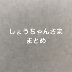 しょうちゃんさま まとめ/まるわかりガイド/連絡帳の文例集/手袋/まとめ売りのサムネイル