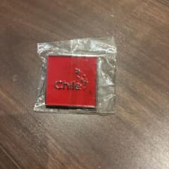 新品未開封大阪関西万博 EXPO2025チリパビリオン Chile ピンバッジ