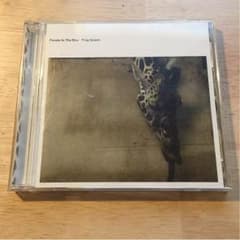 People In The Box CD Frog Queenのサムネイル