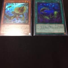 【遊戯王】捕食植物サンデウ・キンジー、プレデター・プランターのサムネイル