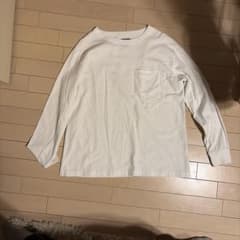 THE NORTH FACE PURPLE LABEL 長袖Tシャツ M