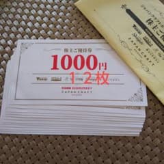 ジャパンクラフトホールディングス株主優待券 12,000円分 トーカイ