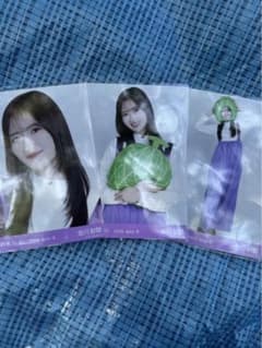 乃木坂46 生写真 金川紗耶 北海道ver.コーデ 3種コンプ 美品 - メルカリ