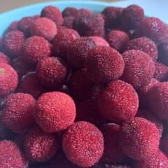 果実 ヤマモモ ベリー2kg 杨梅 楊梅のサムネイル