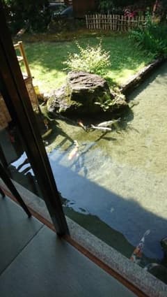 いちこ様専用のサムネイル