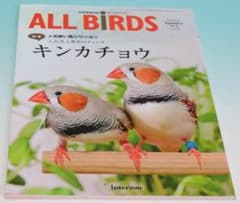 愛鳥家専門誌 ALL BIRDS オールバード 2015年9月号 キンカチョウ①