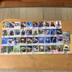 て*る様 鳥羽水族館　コレクションカードvol.2 フルコンプリート　　全50種 鳥羽水族館 コレクションカード vol.2 ノーマルカード 41種