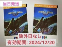USJ ユニバーサル·スタジオ·ジャパン チケット パートナーフリーパス　2枚のサムネイル