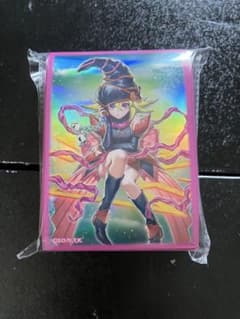 遊戯王の日 ガガガガール-ゼロゼロコール スリーブ プロテクター 未