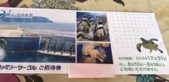 新江ノ島水族館御招待1枚です。有効期間2019.12.31のサムネイル