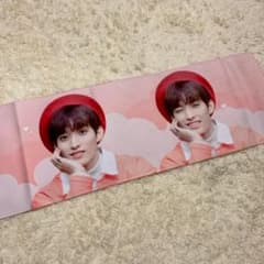 セブチ　ドギョム　seventeen スローガンのサムネイル