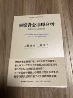 国際資金循環分析 基礎技法と応用事例のサムネイル
