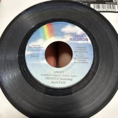 SHAGGY ANGEL 7インチレコードのサムネイル