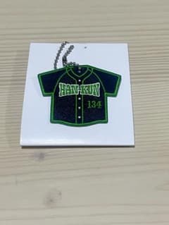 【新品未使用】【まとめ割有】湘南乃風ワッペンキーホルダー熱唱甲子園HAN-KUNのサムネイル