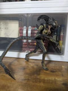 Neca 프레데리안